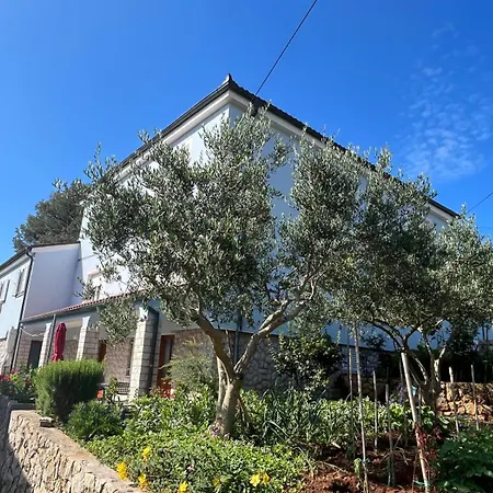 Kuca Luce-apartman Br.1 *